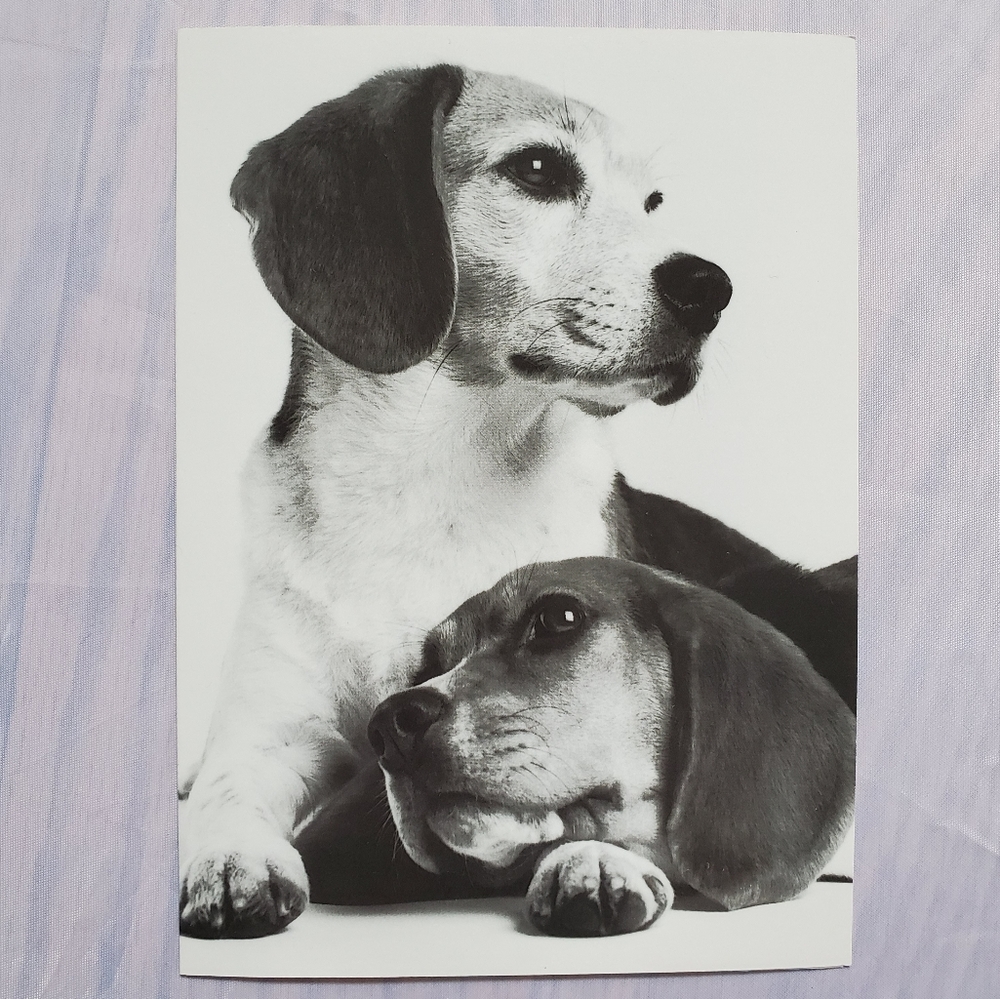 2 Puppy Greeting Cards - Picture 3 of 5